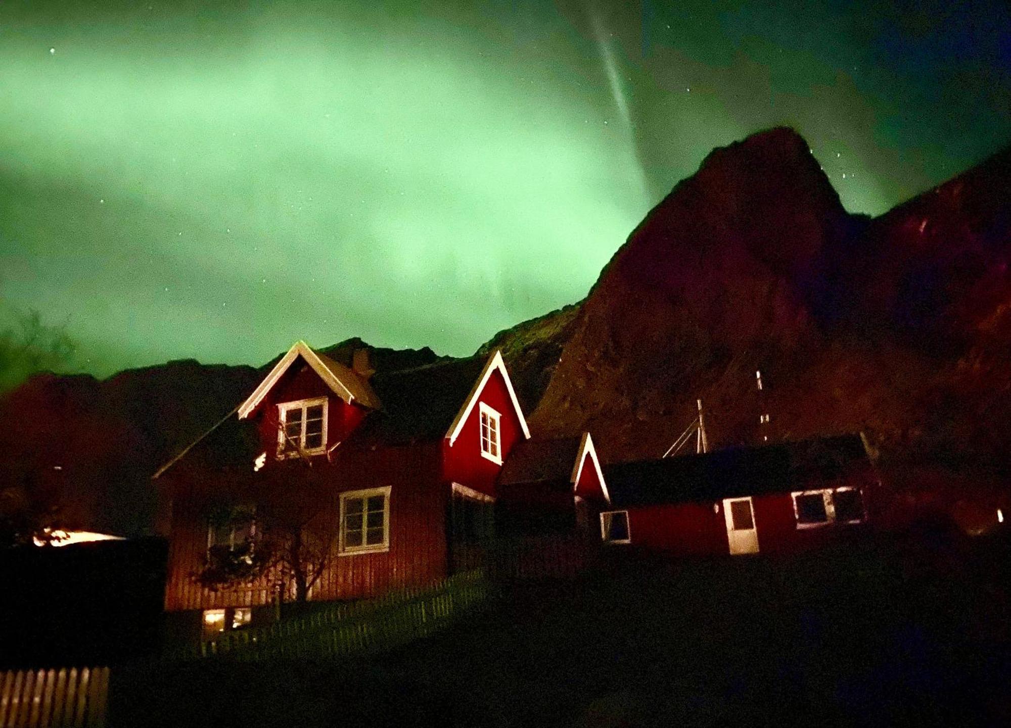 Вилла Reinefjord Panorama Москенес Экстерьер фото
